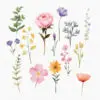 High-resolution floral and butterfly PNGs