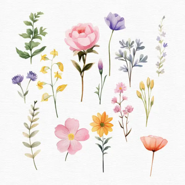 High-resolution floral and butterfly PNGs