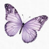 Purple Fairy Garden Clipart - Image 5