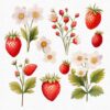 Fairy Garden Clipart Set – Enchanted Wildberry & Floral PNGs - Image 7