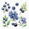Fairy Garden Clipart Set – Enchanted Wildberry & Floral PNGs - Image 8