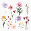 Fairy Garden Clipart Set – Enchanted Wildberry & Floral PNGs - Image 10