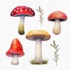 Fairy Garden Clipart Set – Enchanted Wildberry & Floral PNGs - Image 12