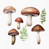 Fairy and Faun Clipart – Fantasy Forest PNG Set - Image 10