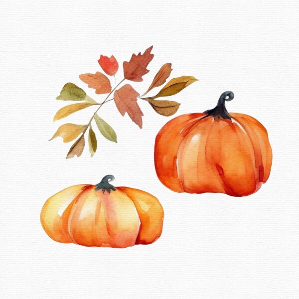 Thanksgving  clipart, Autumn clipart, - Image 9