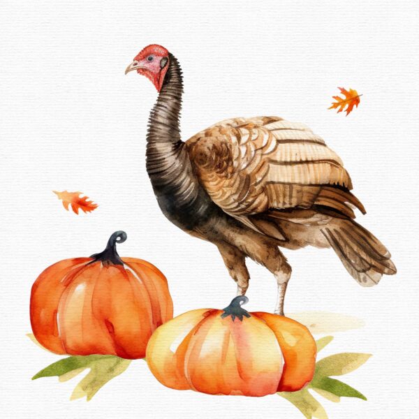 Thanksgving  clipart, Autumn clipart, - Image 6