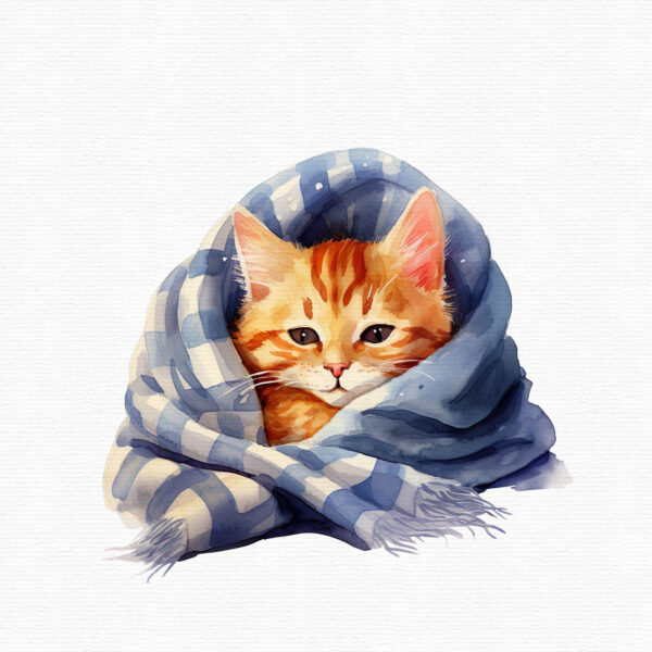 a cat in a cozy blanket, illustration png with white background