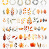 Fall clipart, Autumn leaves clip art - Image 2