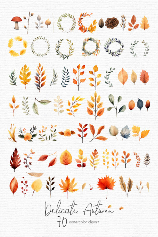 Fall clipart, Autumn leaves clip art - Image 2