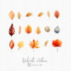 Fall clipart, Autumn leaves clip art - Image 4