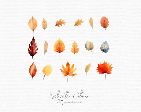 Fall clipart, Autumn leaves clip art - Image 4