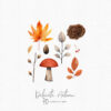 Fall clipart, Autumn leaves clip art - Image 3