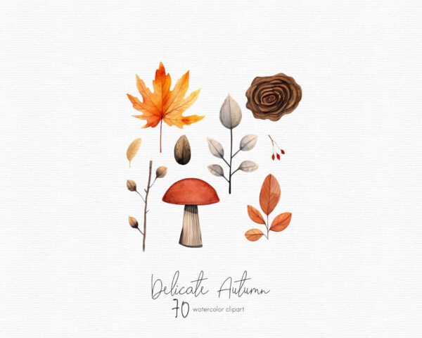 Fall clipart, Autumn leaves clip art - Image 3