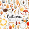 Fall clipart, Autumn leaves clip art