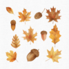 Fall Girl Clipart, Fall leaves and mushrooms clipart - Image 5