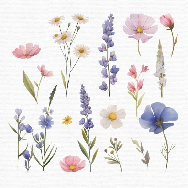 Wildflowers Clipart – PNG Floral Elements Set - Image 3