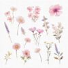 Wildflowers Clipart – PNG Floral Elements Set - Image 4