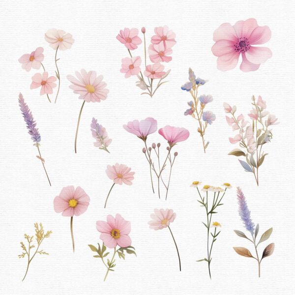Wildflowers Clipart – PNG Floral Elements Set - Image 4