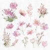 Wildflowers Clipart – PNG Floral Elements Set - Image 5