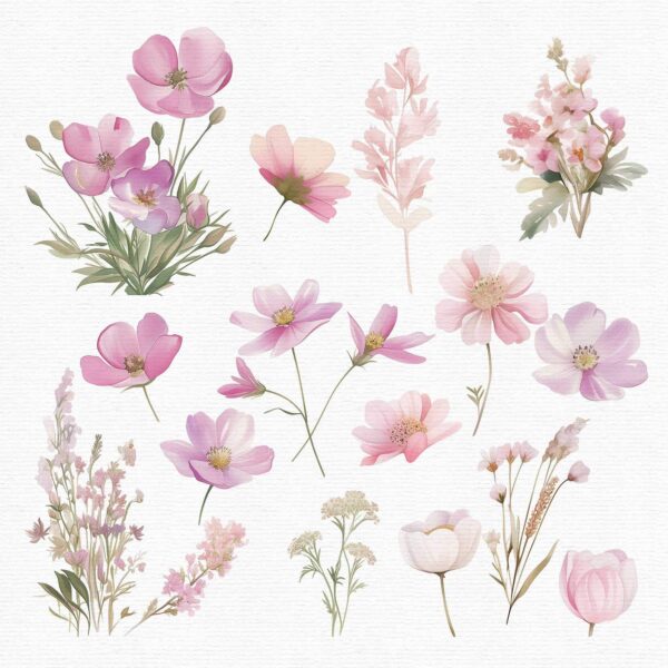 Wildflowers Clipart – PNG Floral Elements Set - Image 5