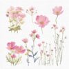 Wildflowers Clipart – PNG Floral Elements Set - Image 6