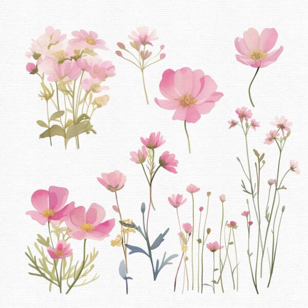 Wildflowers Clipart – PNG Floral Elements Set - Image 6