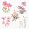 Wildflowers Clipart – PNG Floral Elements Set - Image 7