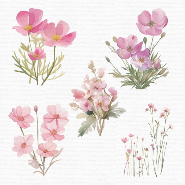Wildflowers Clipart – PNG Floral Elements Set - Image 7