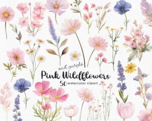 Wildflowers Clipart – PNG Floral Elements Set