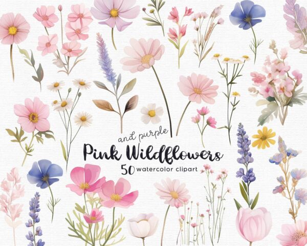 Wildflowers Clipart – PNG Floral Elements Set