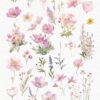 Wildflowers Clipart – PNG Floral Elements Set - Image 9