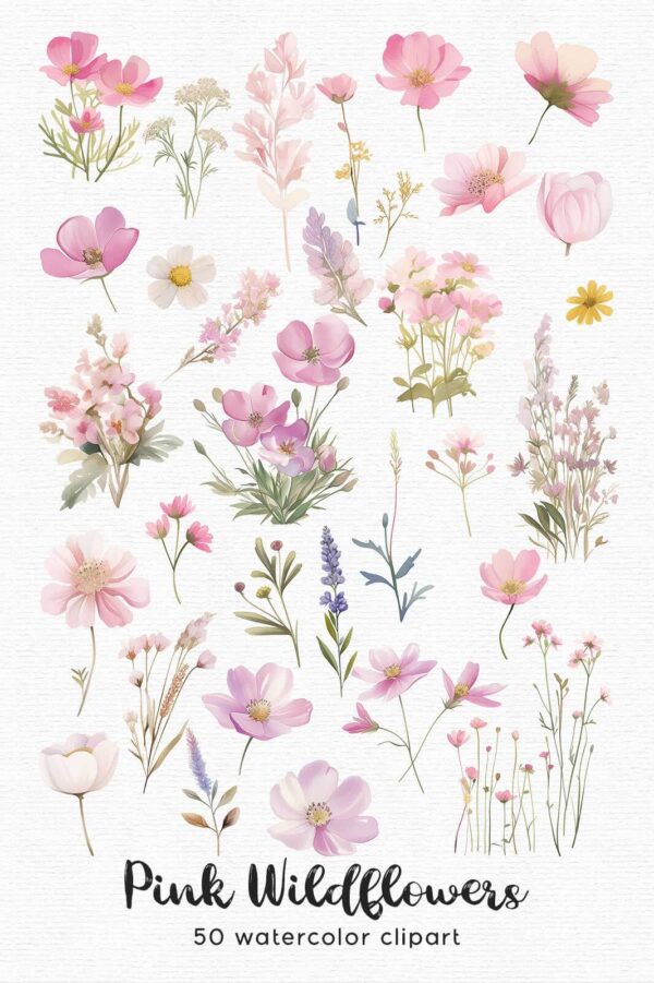 Wildflowers Clipart – PNG Floral Elements Set - Image 9