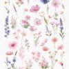 Wildflowers Clipart – PNG Floral Elements Set - Image 10