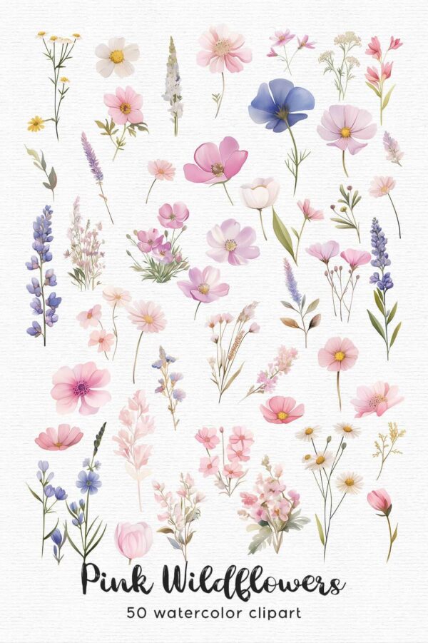 Wildflowers Clipart – PNG Floral Elements Set - Image 10
