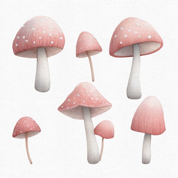 Fairy Clipart – Pink Fairy Garden PNG Set 🌸 - Image 5