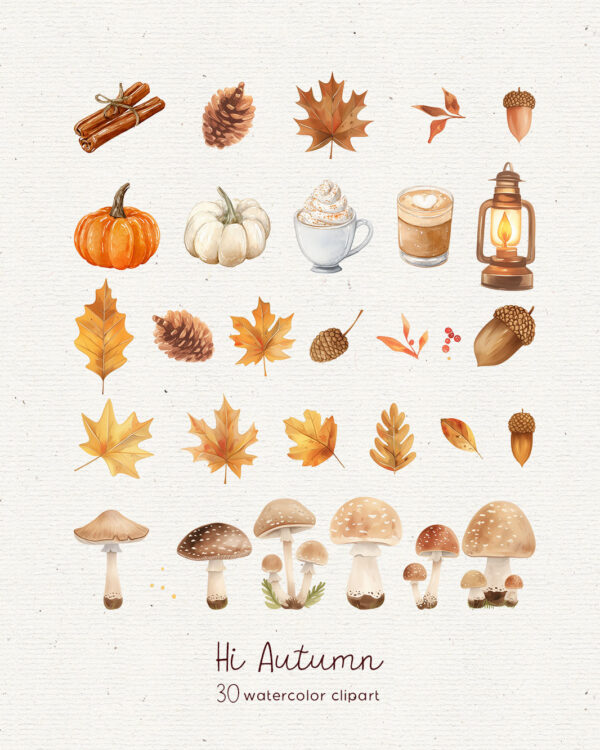 Autumn Clipart, Fall leaves and mushrooms clipart - Image 6